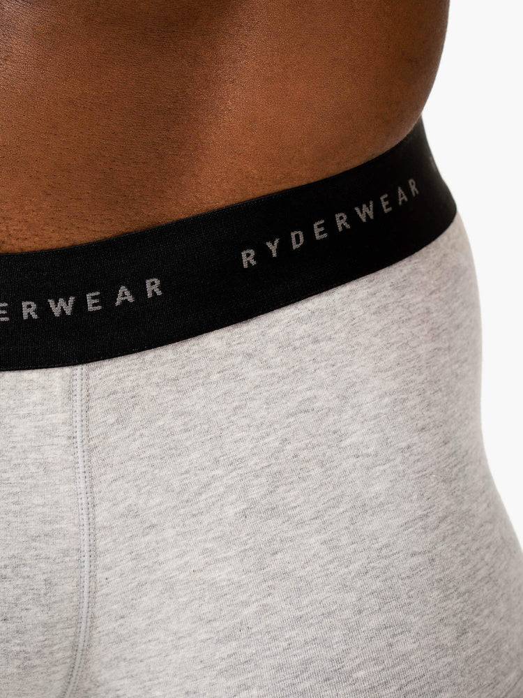 Men's Ryderwear Men Underwear Boxer Briefs Underwear Grey Marl | NZ1551ZG