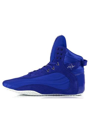 Men's Ryderwear Men Shoes Kai Greene Signature D-Mak Shoes Blue | NZ1601KI