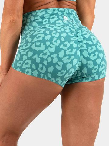 Women's Ryderwear Women Shorts Animal Scrunch Bum Shorts Leopard Teal | NZ2035PQ