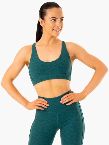 Women's Ryderwear Women Sports Bra Evolution Sports Bra Teal Leopard | NZ2396IS